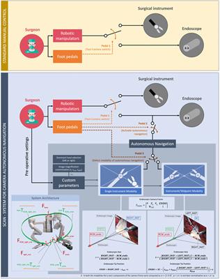 Automating Endoscope Motion in Robotic Surgery: A Usability Study on da Vinci-Assisted Ex Vivo Neobladder Reconstruction